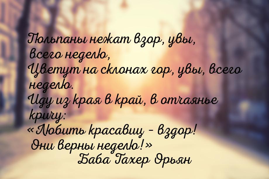 Тюльпаны нежат взор, увы, всего неделю, Цветут на склонах гор, увы, всего неделю. Иду из к