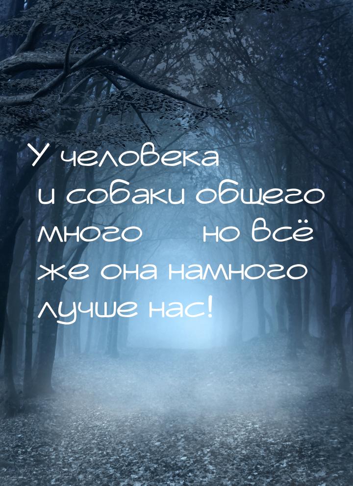 У человека и собаки общего много — но всё же она намного лучше нас!