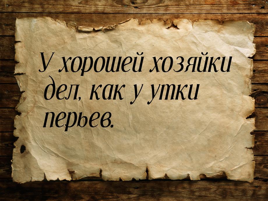 У хорошей хозяйки дел, как у утки перьев.