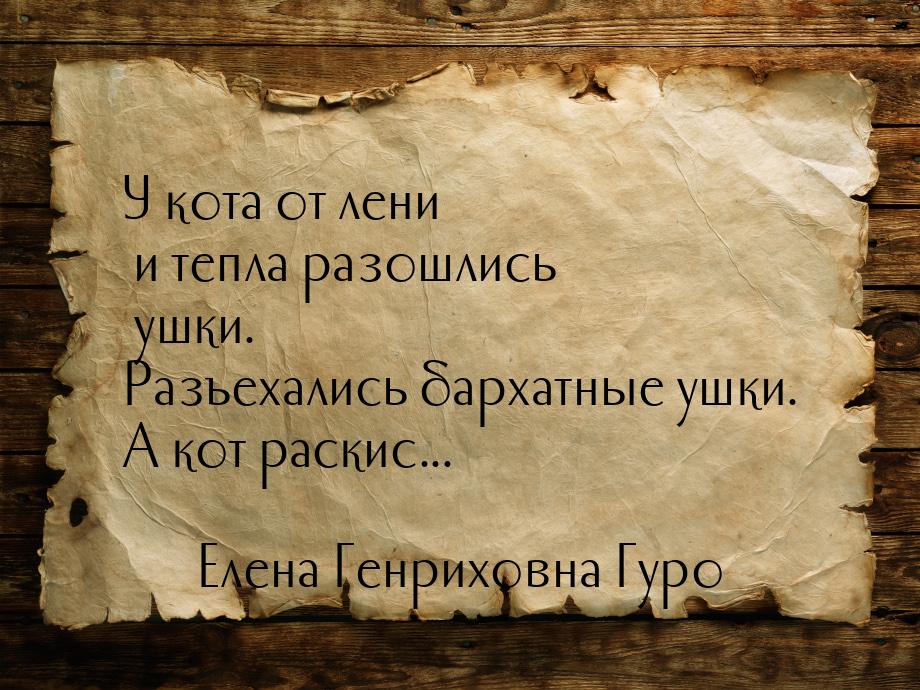 У кота от лени и тепла разошлись ушки. Разъехались бархатные ушки. А кот раскис...