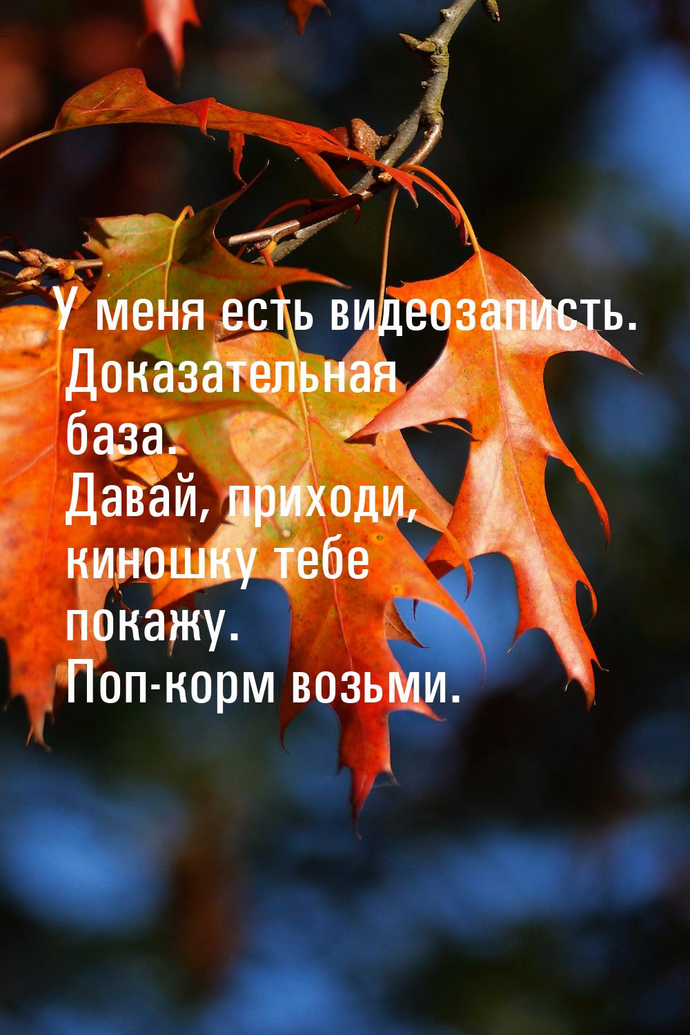 У меня есть видеозаписть. Доказательная база. Давай, приходи, киношку тебе покажу. Поп-кор