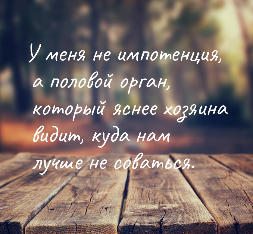 У меня не импотенция, а половой орган, который яснее хозяина видит, куда нам лучше не сова