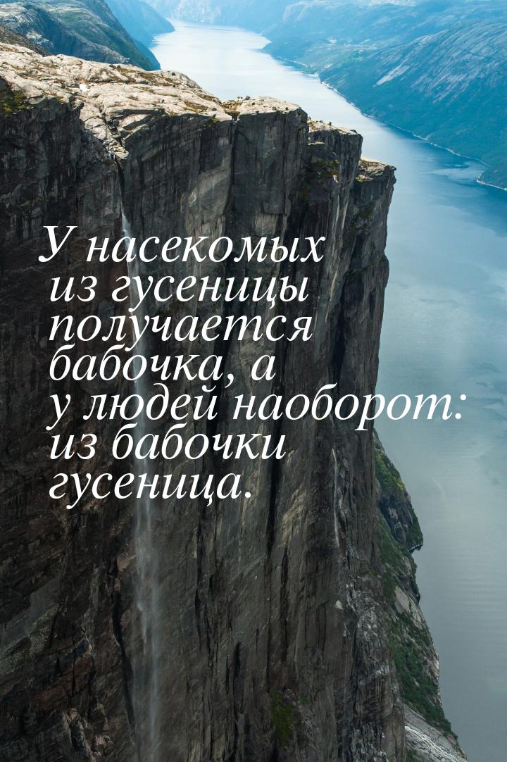 У насекомых из гусеницы получается бабочка, а у людей наоборот: из бабочки гусеница.