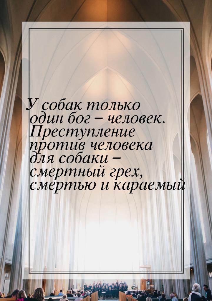 У собак только один бог – человек. Преступление против человека для собаки – смертный грех