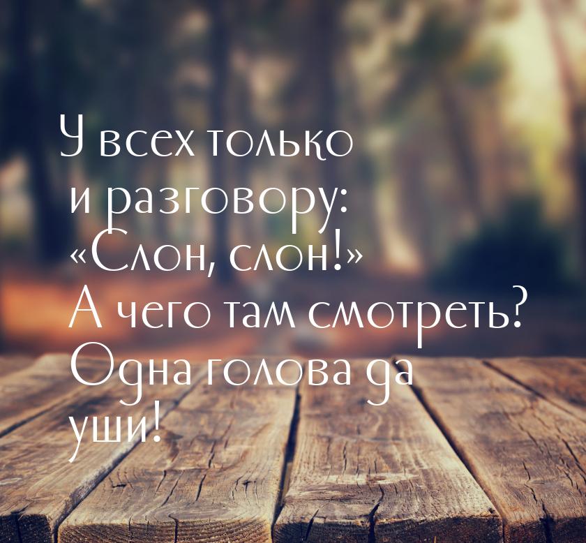 У всех только и разговору: «Слон, слон!» А чего там смотреть? Одна голова да уши!