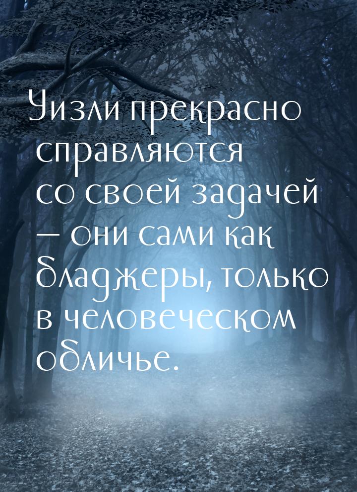 Уизли прекрасно справляются со своей задачей — они сами как бладжеры, только в человеческо