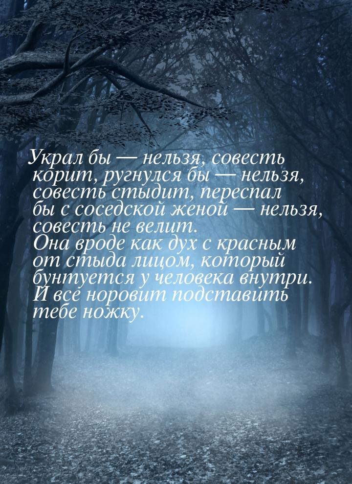 Украл бы  нельзя, совесть корит, ругнулся бы  нельзя, совесть стыдит, пересп