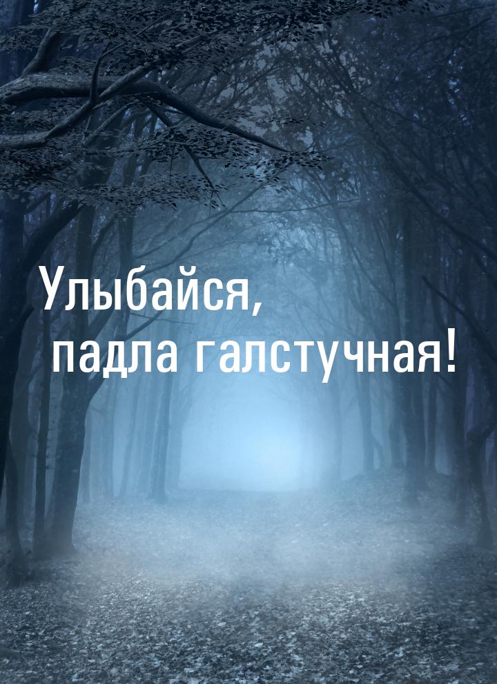 Улыбайся, падла галстучная!