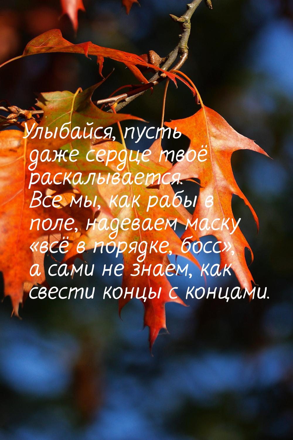 Улыбайся, пусть даже сердце твоё раскалывается. Все мы, как рабы в поле, надеваем маску &l