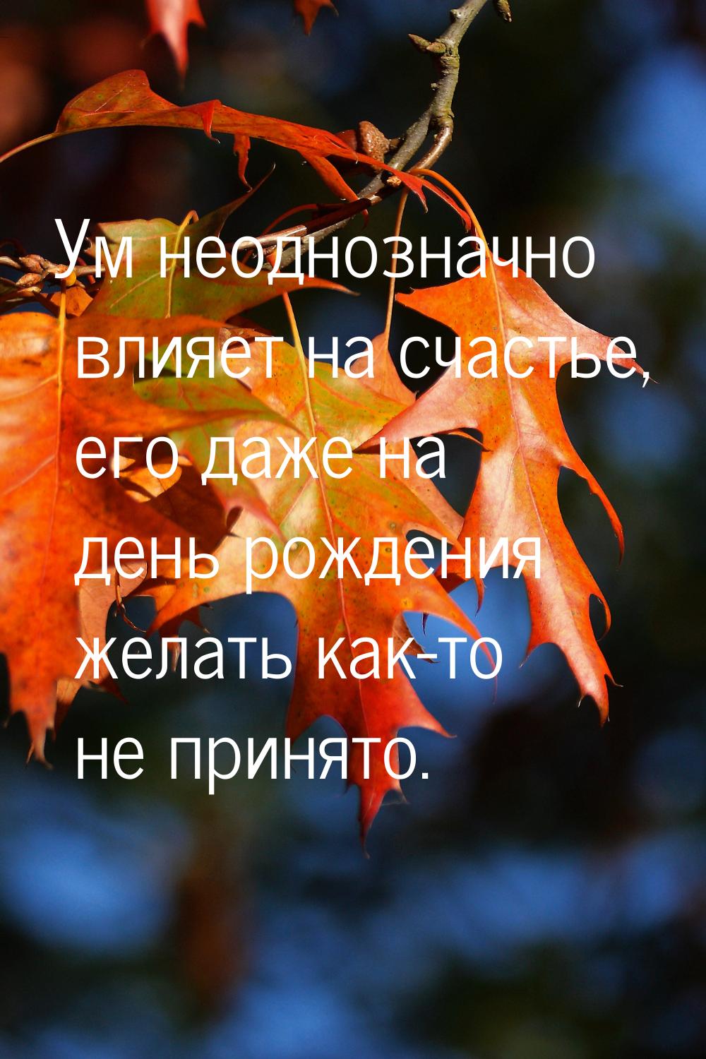 Ум неоднозначно влияет на счастье, его даже на день рождения желать как-то не принято.