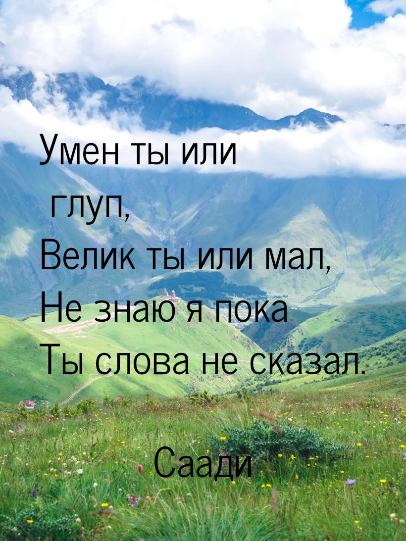 Умен ты или глуп, Велик ты или мал, Не знаю я пока Ты слова не сказал.