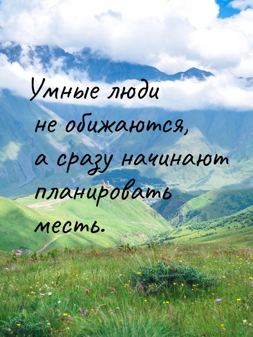 Умные люди не обижаются, а сразу начинают планировать месть.