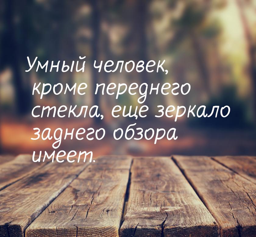 Умный человек, кроме переднего стекла, еще зеркало заднего обзора имеет.