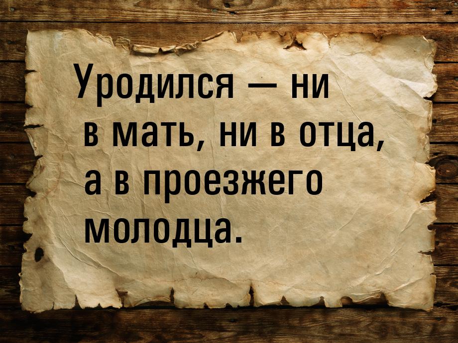 Уродился  ни в мать, ни в отца, а в проезжего молодца.