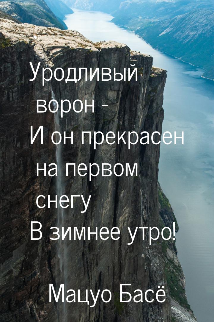 Уродливый ворон - И он прекрасен на первом снегу В зимнее утро!