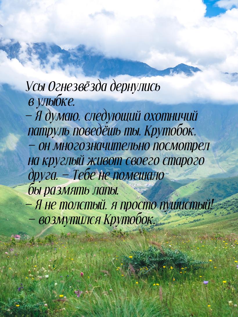 Усы Огнезвёздa дернулись в улыбке.  Я думaю, следующий охотничий патруль поведёшь т