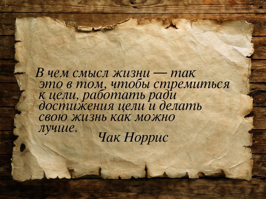 В чем смысл жизни — так это в том, чтобы стремиться к цели, работать ради достижения цели 