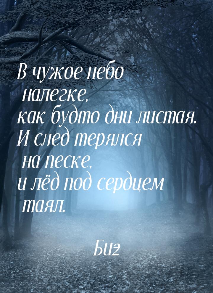 В чужое небо налегке, как будто дни листая. И след терялся на песке, и лёд под сердцем тая