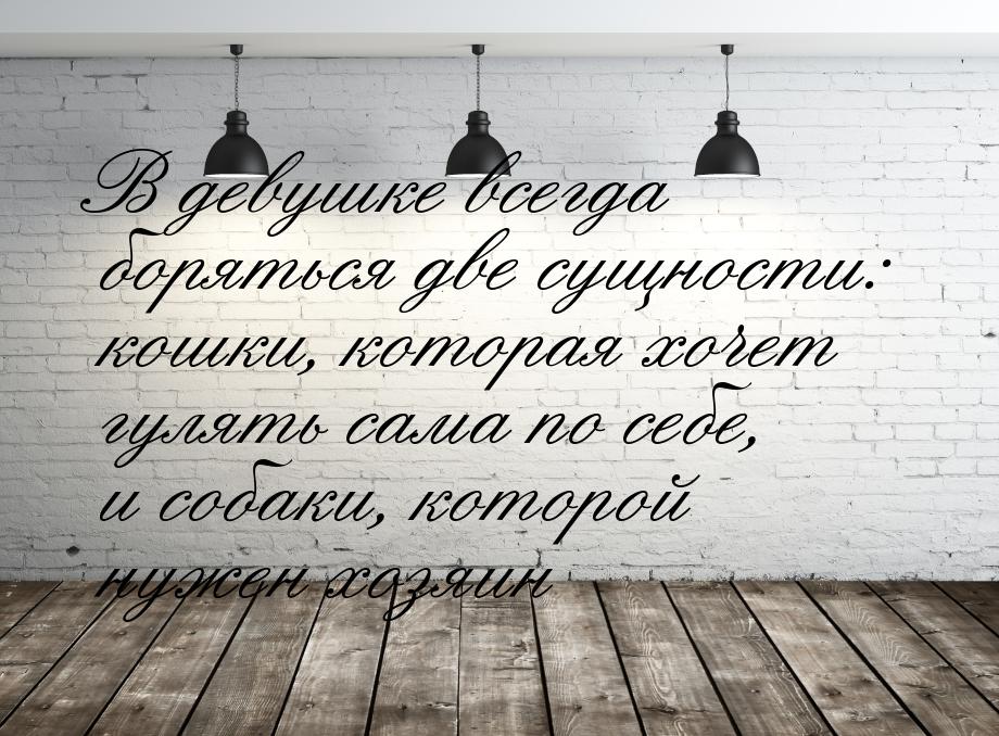 В девушке всегда боряться две сущности: кошки, которая хочет гулять сама по себе, и собаки