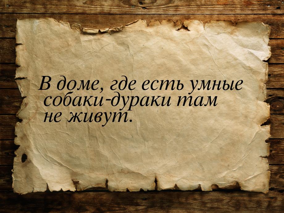 В доме, где есть умные собаки-дураки там не живут.