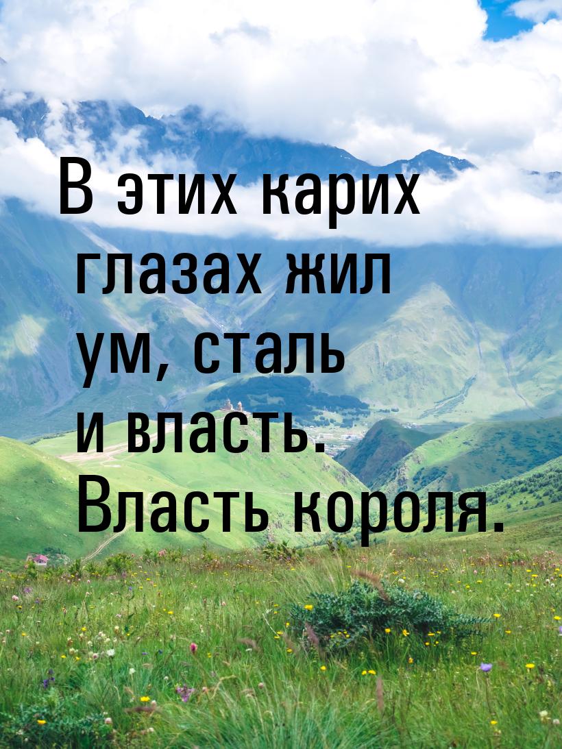 В этих карих глазах жил ум, сталь и власть. Власть короля.