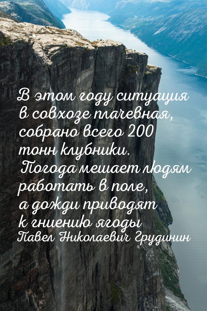 В этом году ситуация в совхозе плачевная, собрано всего 200 тонн клубники. Погода мешает л