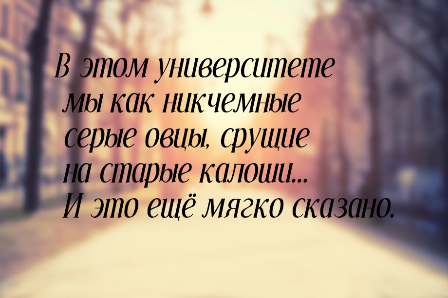 В этом университете мы как никчемные серые овцы, срущие на старые калоши... И это ещё мягк