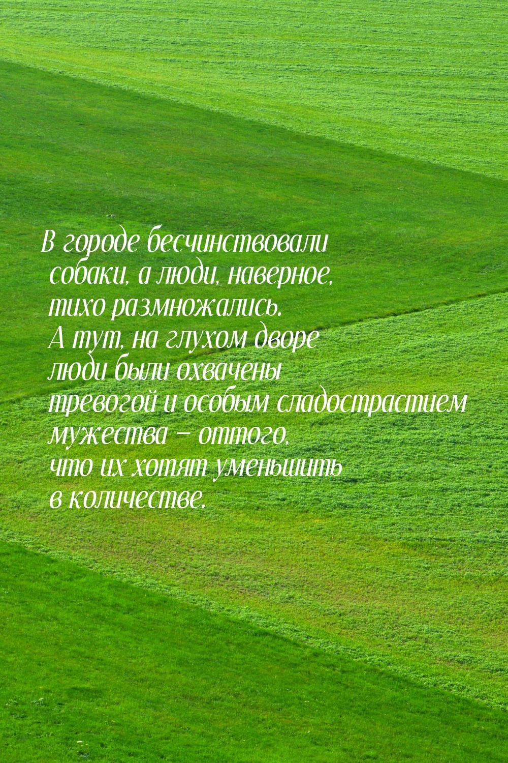 В городе бесчинствовали собаки, а люди, наверное, тихо размножались. А тут, на глухом двор