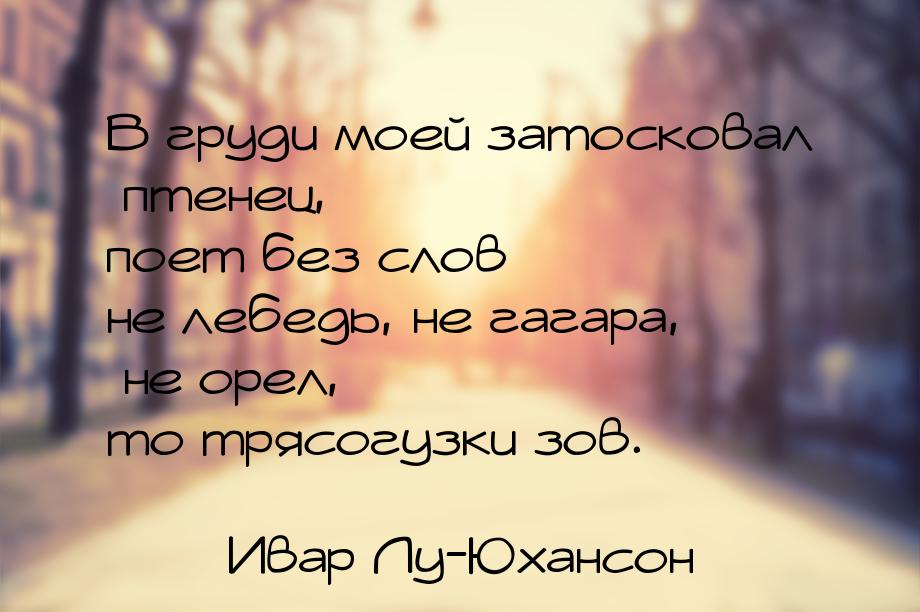 В груди моей затосковал птенец, поет без слов – не лебедь, не гагара, не орел, – то трясог