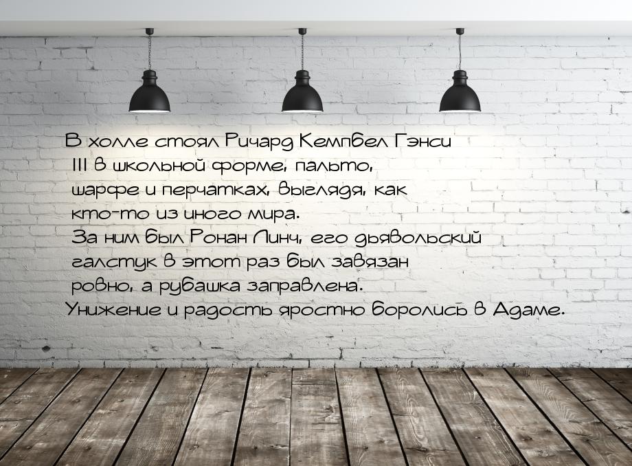 В холле стоял Ричард Кемпбел Гэнси III в школьной форме, пальто, шарфе и перчатках, выгляд