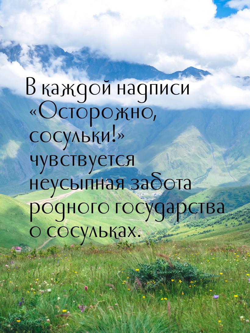 В каждой надписи «Осторожно, сосульки!» чувствуется неусыпная забота родного государства о