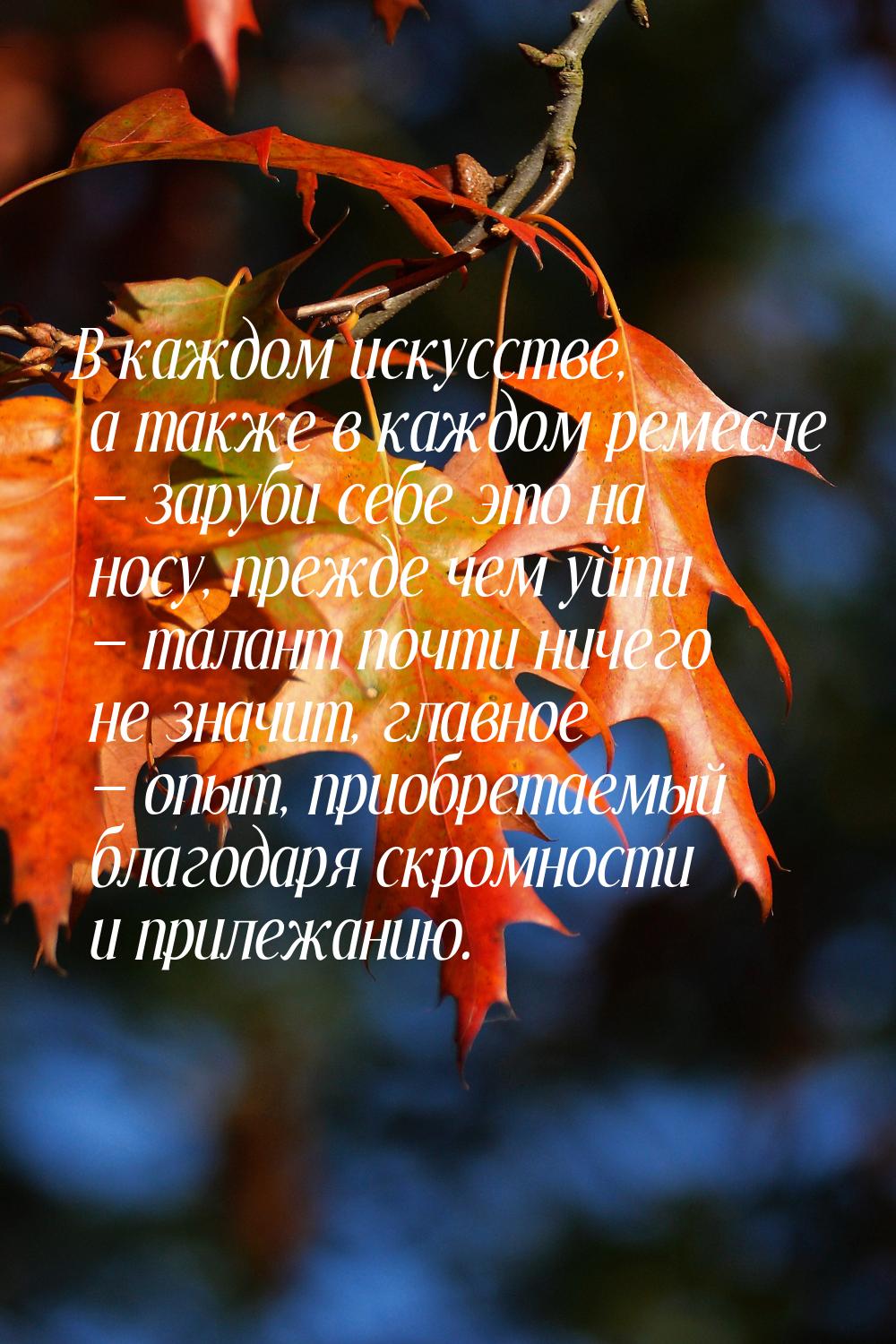 В каждом искусстве, а также в каждом ремесле  заруби себе это на носу, прежде чем у