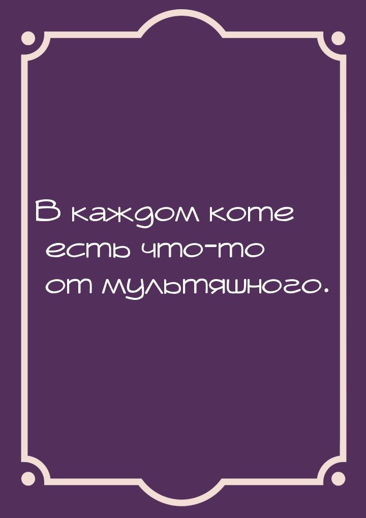 В каждом коте есть что-то от мультяшного.