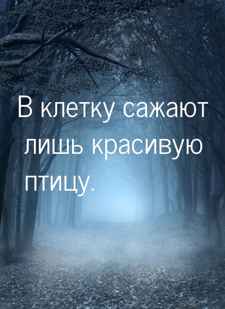 В клетку сажают лишь красивую птицу.