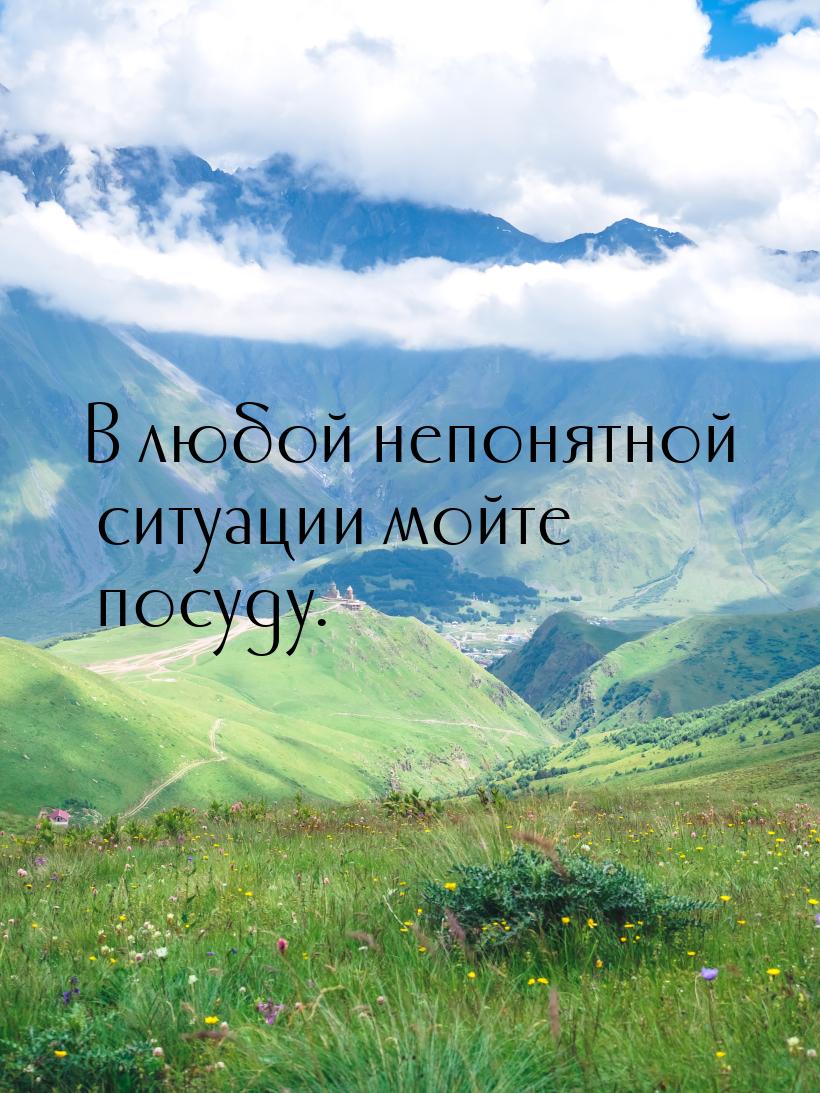 В любой непонятной ситуации мойте посуду.