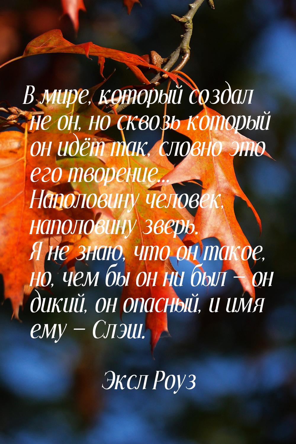 В мире, который создал не он, но сквозь который он идёт так, словно это его творение... На