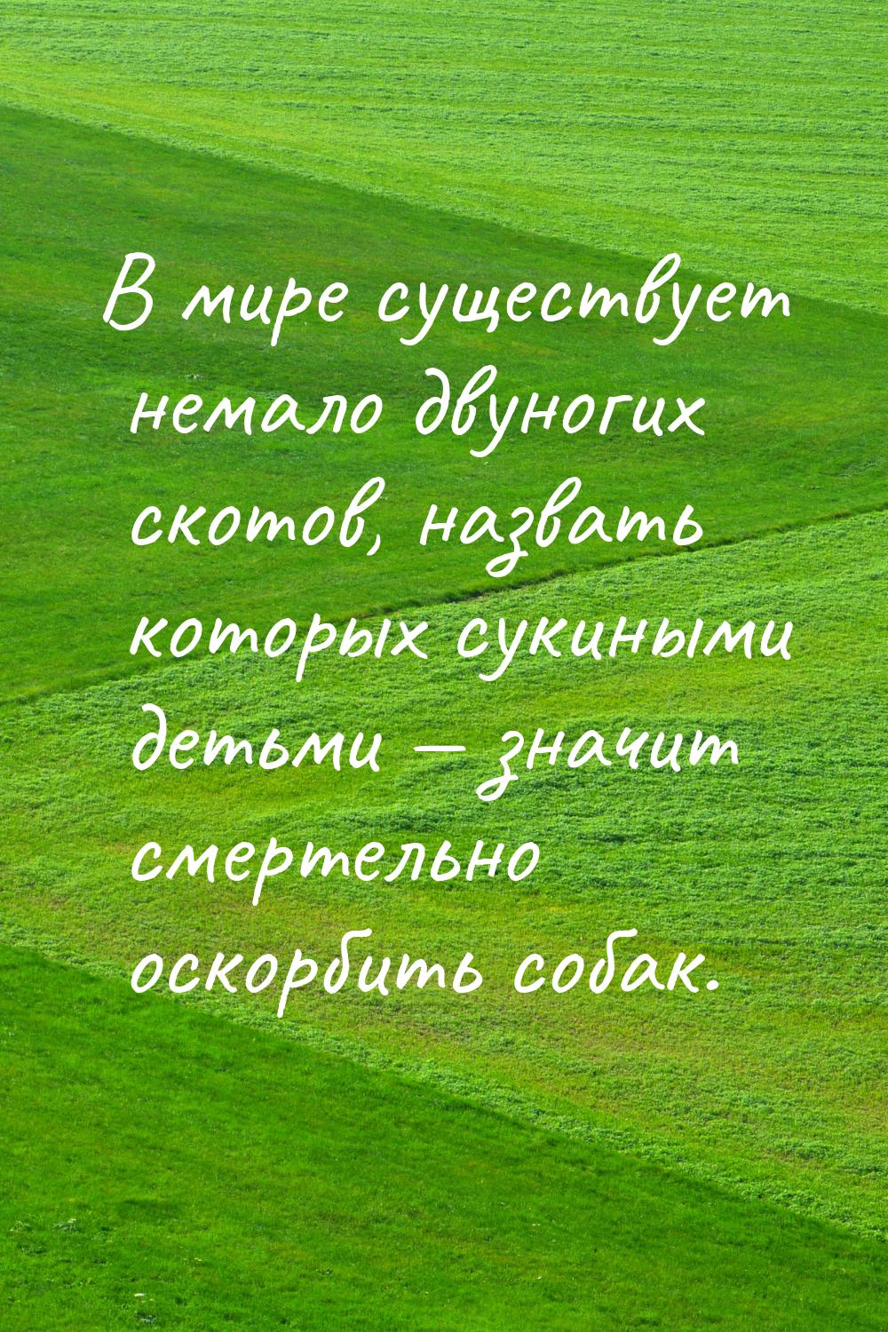 В мире существует немало двуногих скотов, назвать которых сукиными детьми — значит смертел