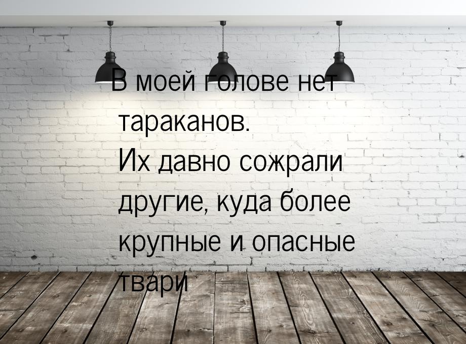 В моей голове нет тараканов. Их давно сожрали другие, куда более крупные и опасные твари