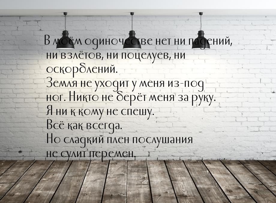 В моём одиночестве нет ни падений, ни взлётов, ни поцелуев, ни оскорблений. Земля не уходи