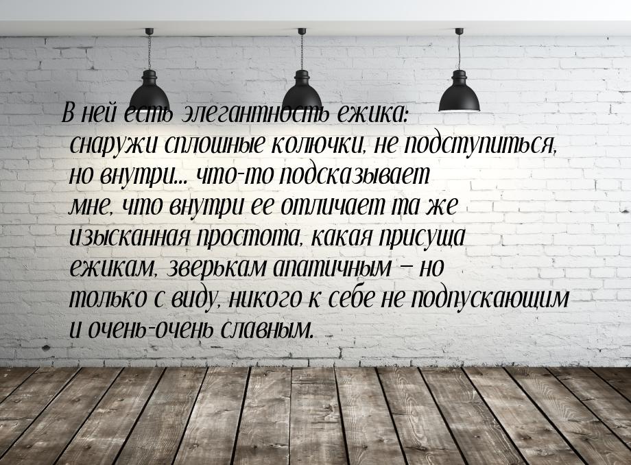 В ней есть элегантность ежика: снаружи сплошные колючки, не подступиться, но внутри... что