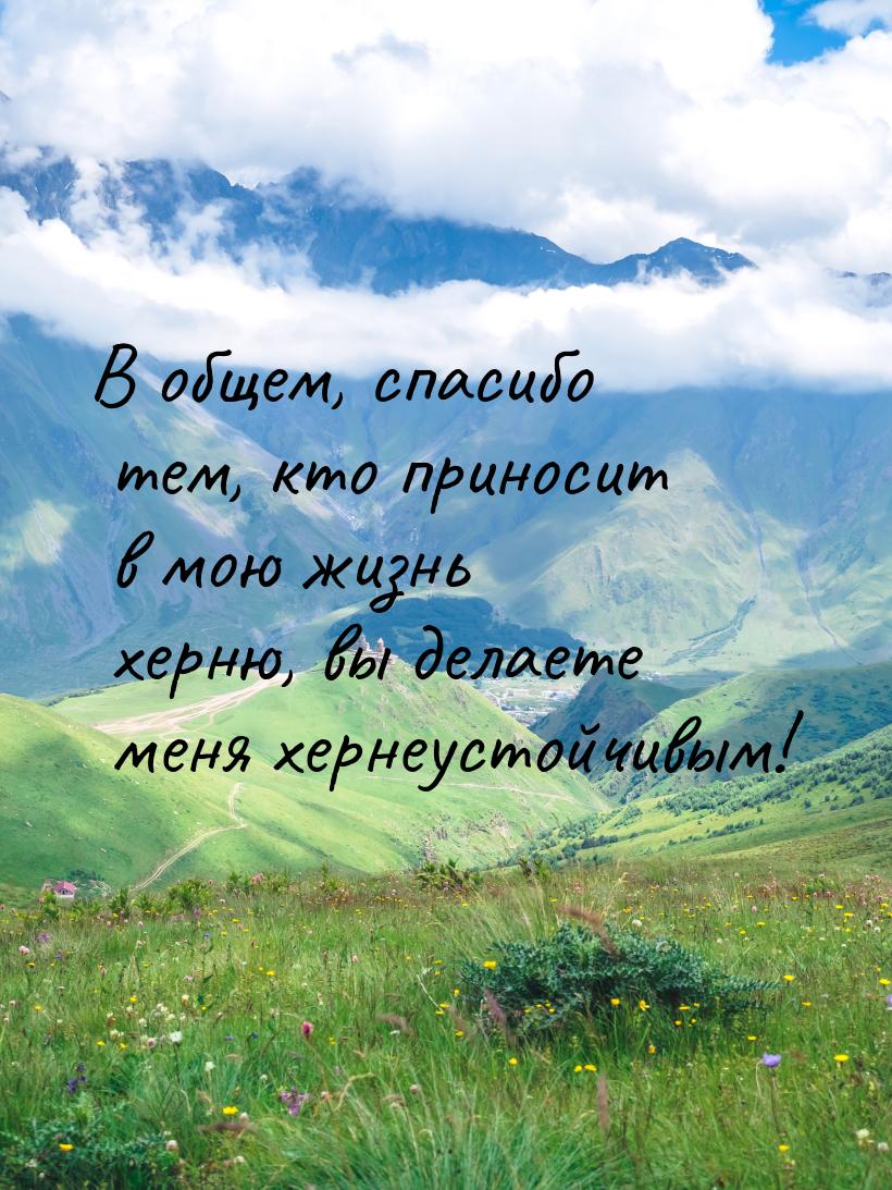 В общем, спасибо тем, кто приносит в мою жизнь херню, вы делаете меня хернеустойчивым!