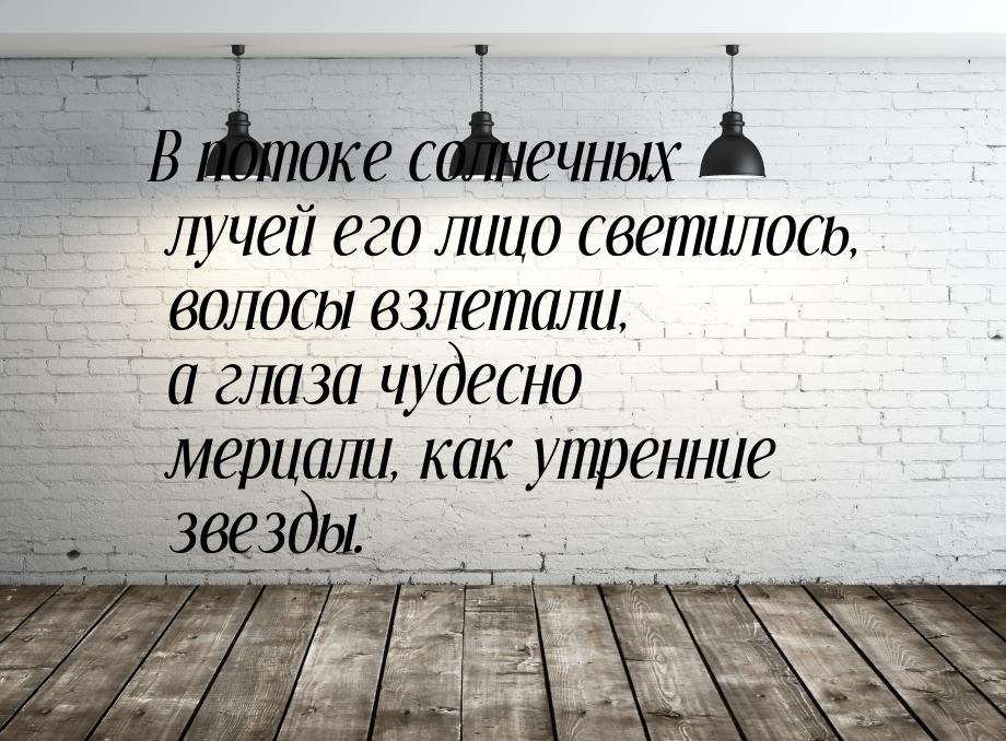 В потоке солнечных лучей его лицо светилось, волосы взлетали, а глаза чудесно мерцали, как