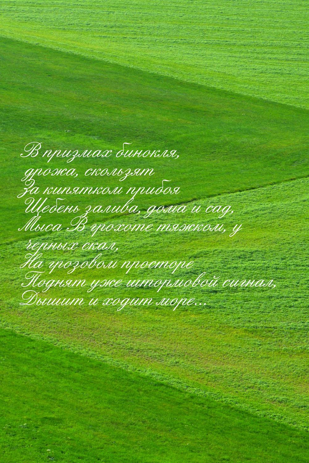 В призмах бинокля, дрожа, скользят За кипятком прибоя Щебень залива, дома и сад, Мыса В гр