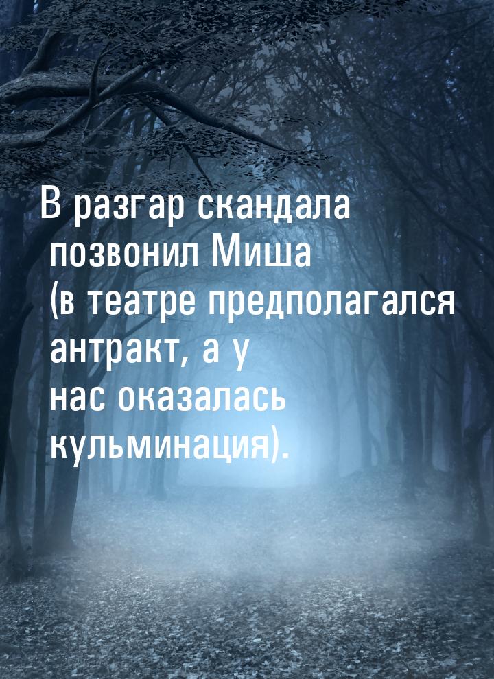 В разгар скандала позвонил Миша (в театре предполагался антракт, а у нас оказалась кульмин