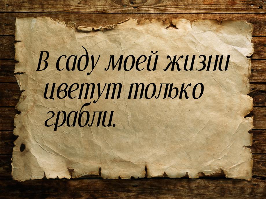 В саду моей жизни цветут только грабли.