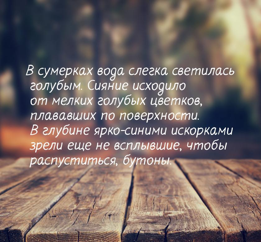 В сумерках вода слегка светилась голубым. Сияние исходило от мелких голубых цветков, плава