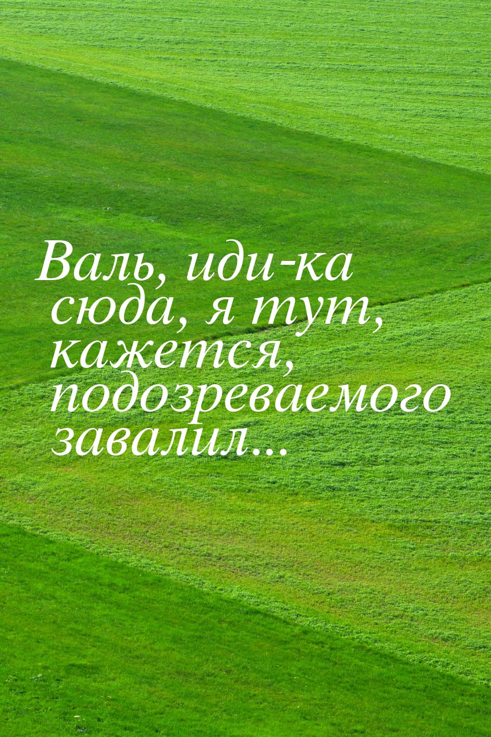 Валь, иди-ка сюда, я тут, кажется, подозреваемого завалил...