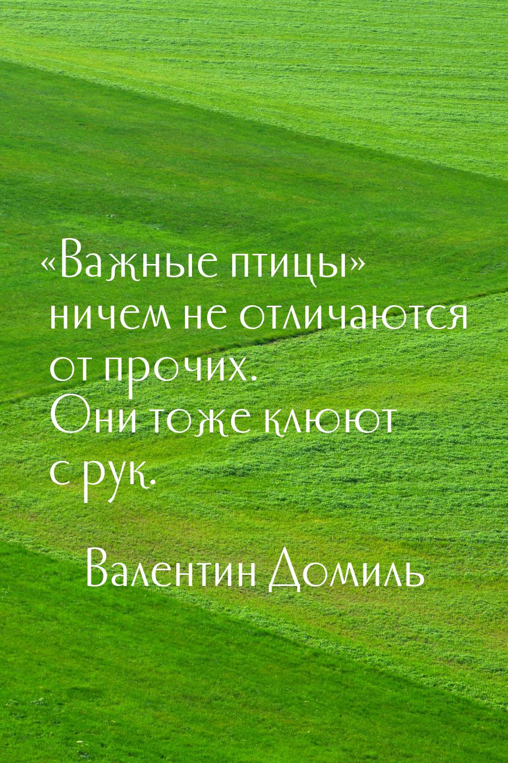 «Важные птицы» ничем не отличаются от прочих. Они тоже клюют с рук.