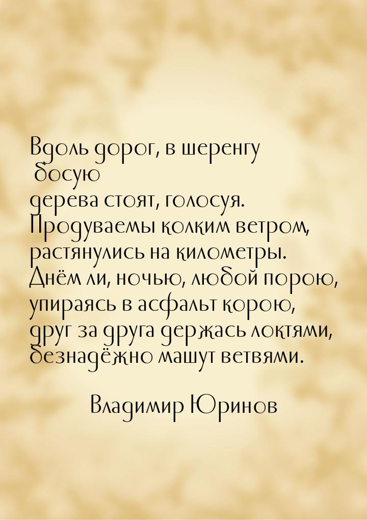 Вдоль дорог, в шеренгу босую дерева стоят, голосуя. Продуваемы колким ветром, растянулись 