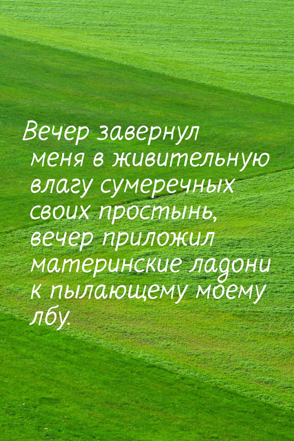 Вечер завернул меня в живительную влагу сумеречных своих простынь, вечер приложил материнс